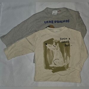Zara Kids Long Sleeve Tees - Gray and Cream BUNDLE